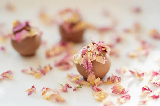 Casino Lotus Asia App Android/iOS